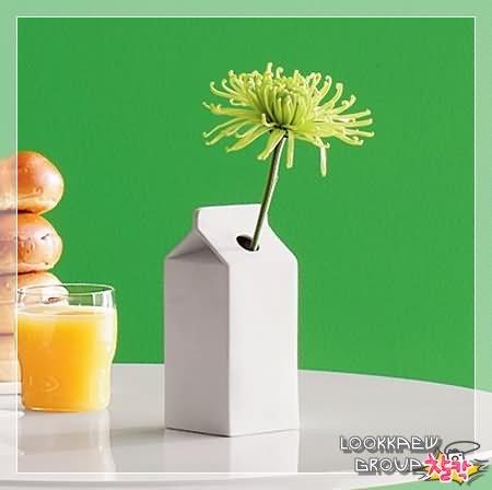  Modern Vases and Creative Vase Designs