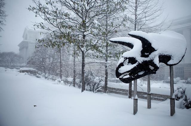 ประมวลภาพพายุหิมะถล่มหนัก\"วอชิงตัน\" (3) 