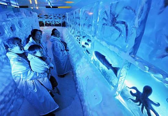 พิพิธภัณฑ์สัตว์น้ำแช่แข็งในประเทศญี่ปุ่น