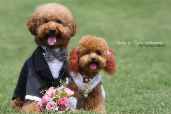 รูป Wedding ที่น่ารักที่สุด‏