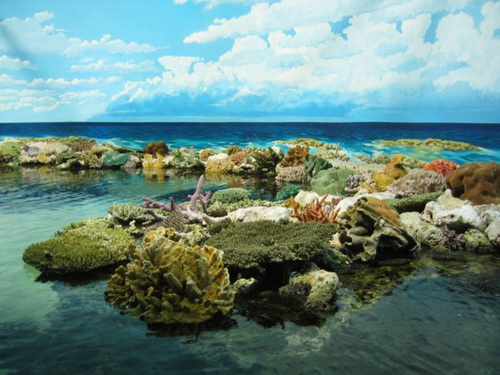 เกรท แบร์ริเออร์ รีฟ (The Great Barrier Reef)