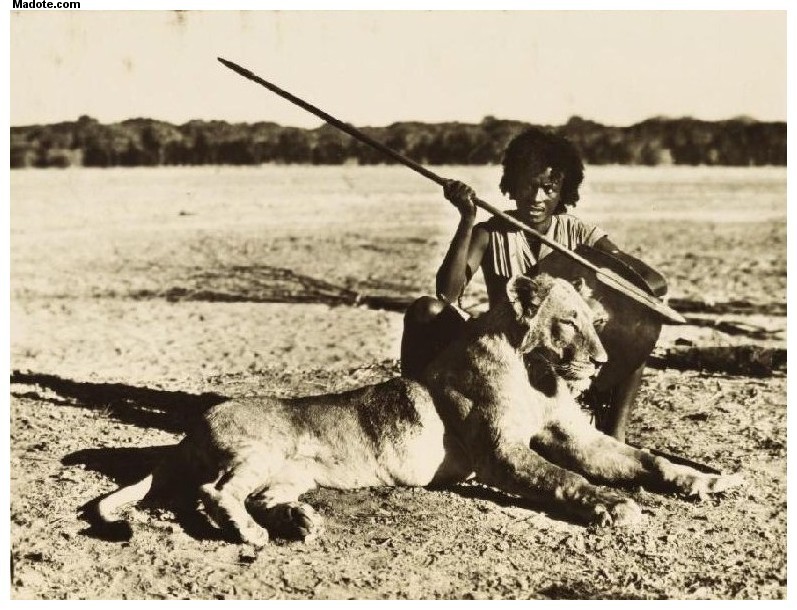 ภาพถ่ายในอดีต เหล่านักรบเผ่า Beja ในแอฟริกา 2
