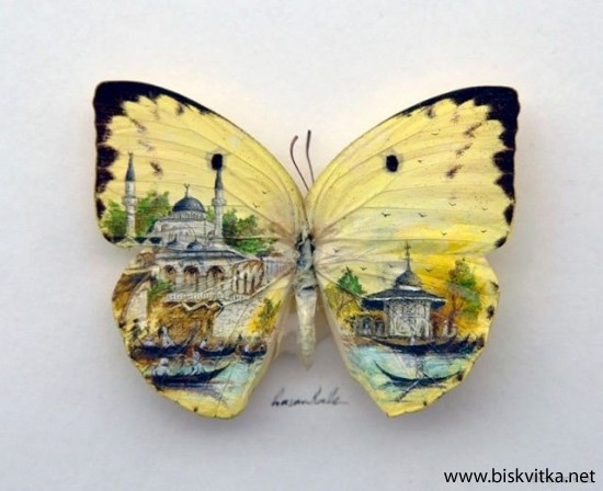 Paintings on the wings of butterflies