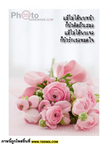 โปสการ์ด