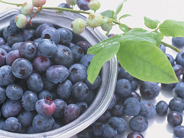 ไปเก็บ Blueberry ในสวนกันค่ะ ‧:﹎｡‧::‧ (^∇^) 