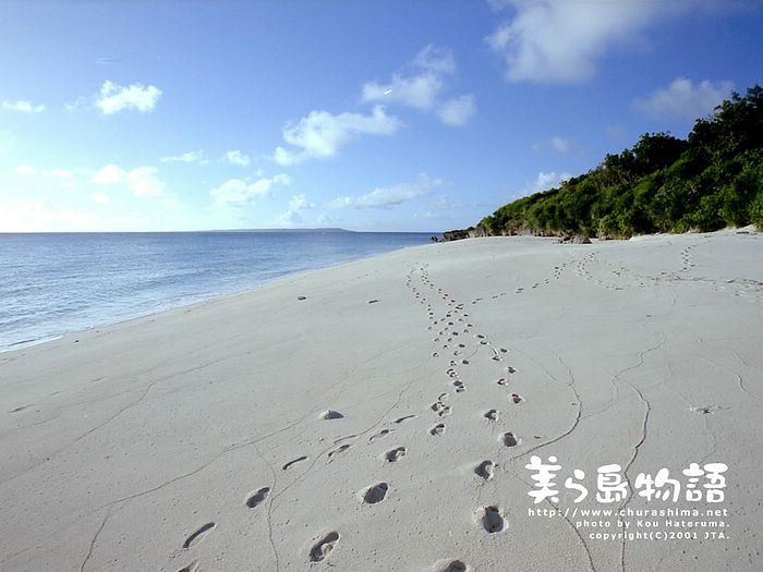 Okinawa Beach @ Japan #1