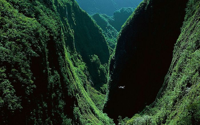 he Gorges of the Bras de Caverne, island of Reunion, France