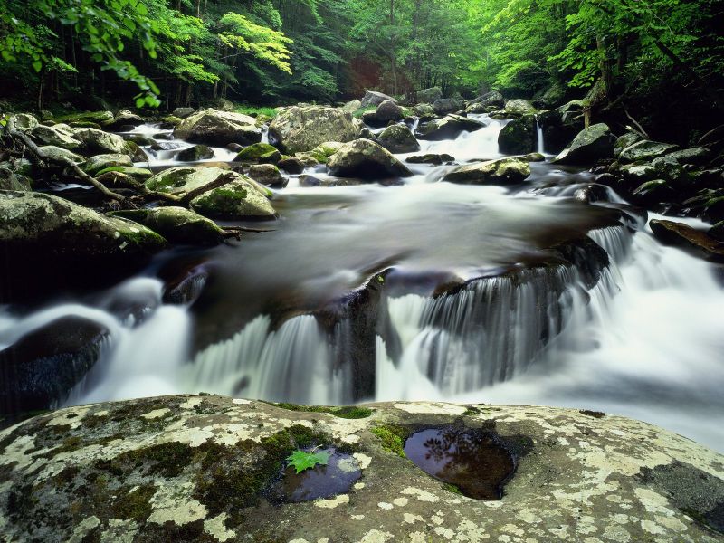 Summer Scene, Middle Prong Of The Little River, Great Smoky Mountains National Park, Tennessee