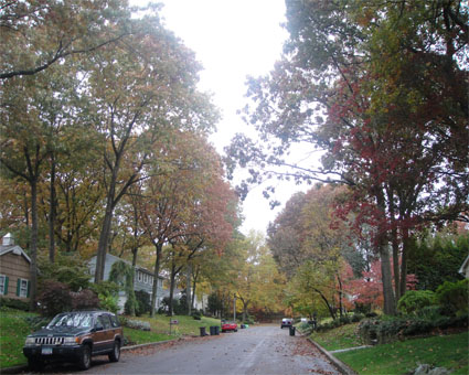 Autumn in Smtihtown, NY