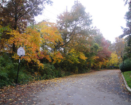 Autumn in Smtihtown, NY