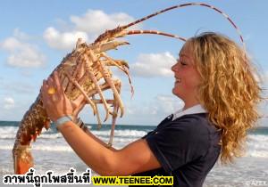 อันดับ 7 คือ “กุ้งก้ามกราม” ด้วยอายุขัย 100 ปี ถือว่าอายุยืนที่สุดในสัตว์จำพวกมีเปลือกแข็งด้วยกัน ด้วยเหตุผลที่มันมีการเคลื่อนไหวและเผาผลาญพลังงานน้อย