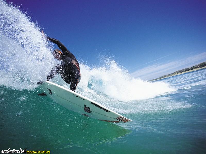 Surf Surfing and Surfer!