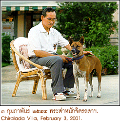 ภาพที่ประทับใจของปวงชนชาวไทย 