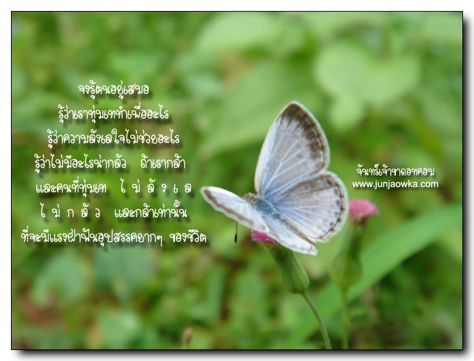 --[ให้กำลังใจด้วยบทเพลง]--