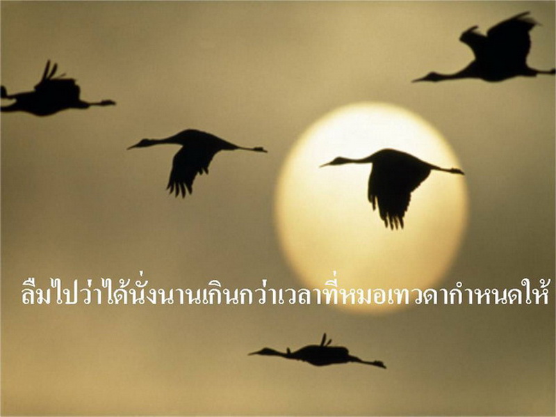 เรื่อง ยา  3  ห่อ   (ตอนที่ 1)