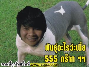 สตาร์บอร์ด(เกย์)