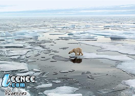 Global Warming มหันตภัยเงียบ