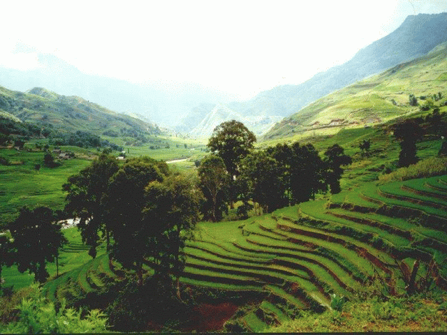 Sapa Vietnam - The city in the foggy 