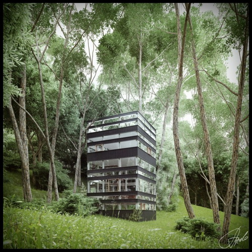 บ้านป่าที่ญี่ปุ่น