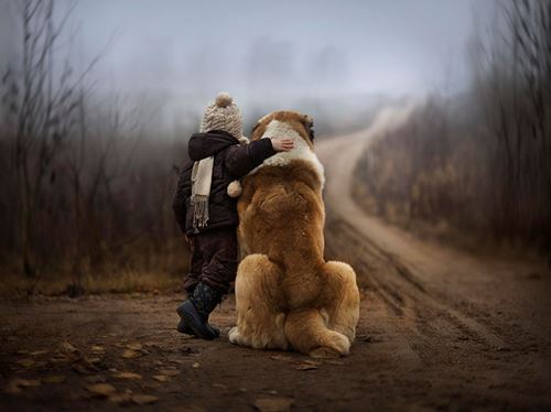 Image credits: Elena Shumilova