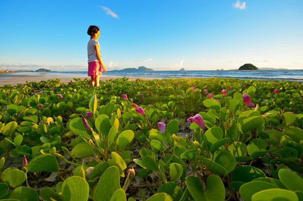 ธรรมชาติที่คุณอยากสัมผัส