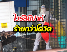 รู้จัก ไวรัสนิปาห์ ระบาดในอินเดีย พยาบาลโคม่า-สั่งกักตัวนับร้อย!