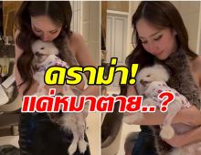 ดราม่าซะเเล้ว! อั้ม พัชราภา สุนัขตาย เเต่ชาวเน็ตคอมเมนต์เเบบนี้?