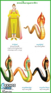 เรื่องเล่าเกี่ยวกับพญานาค