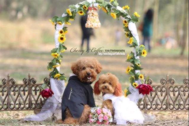 งานแต่งงานที่น่ารักที่สุดเลย^_^