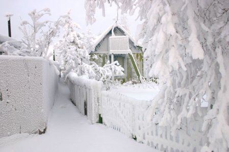 ต้อนรับหน้าหนาว.. กับ 7 Amazingly Beautiful Winter Photos
