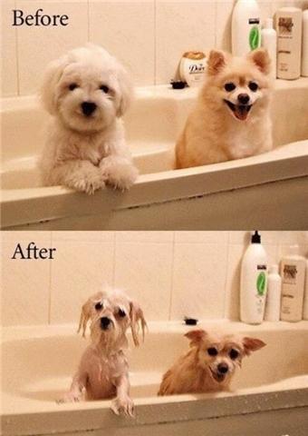 Before - After