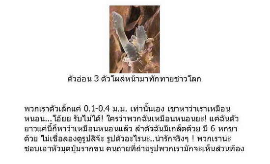 อะไรอยู่ที่ขนตา..ของคุณ