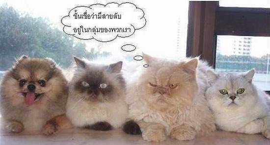 กีฬาแปลก ๆ ^___^