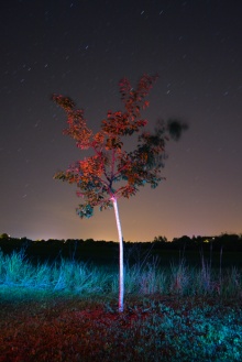 Astrophotography....and Red Sky