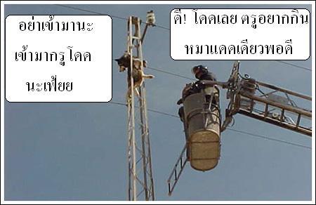 > เรื่องหมา หมา...ฮานิด นิด <