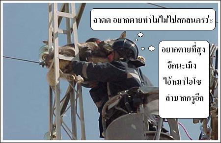 > เรื่องหมา หมา...ฮานิด นิด <