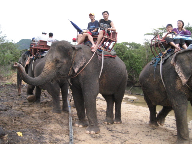 รูปช้างไทย ก่อนหายไปในความทรงจำ!!