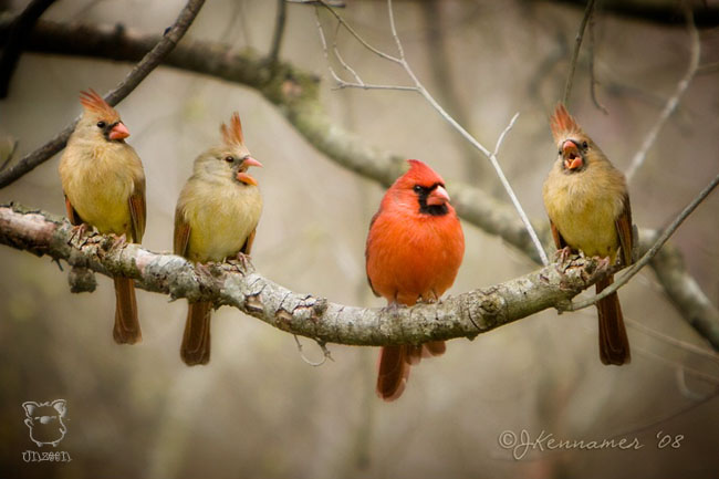 Standing Out from the Crowd 