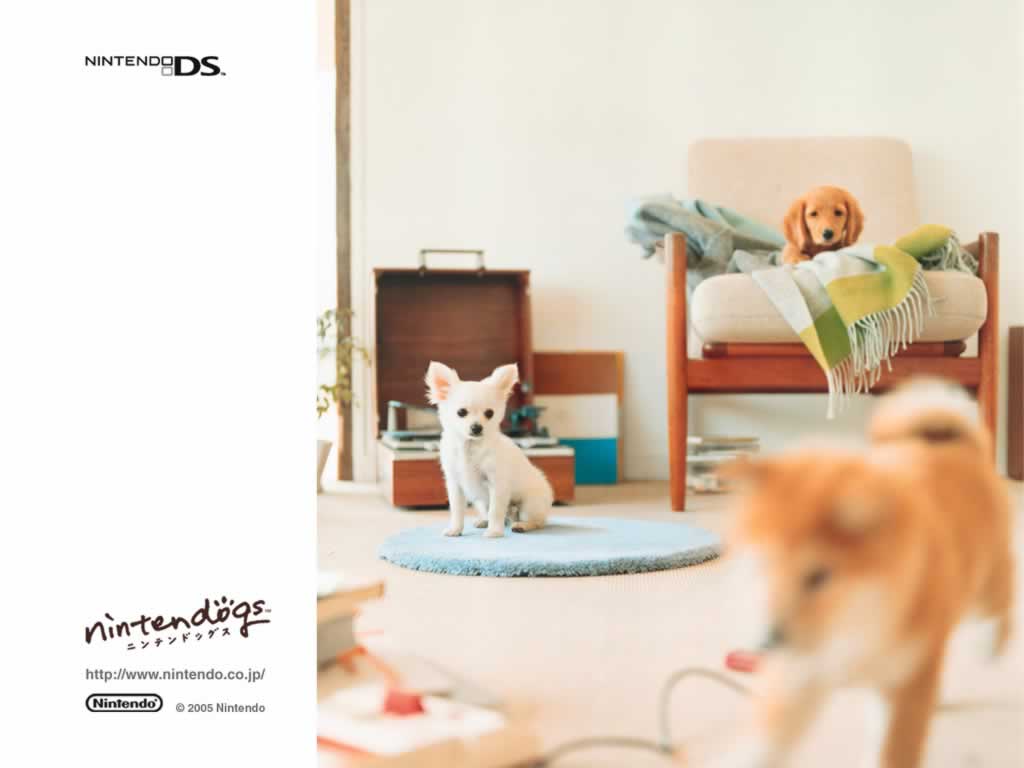 - Lovely Nintendogs -