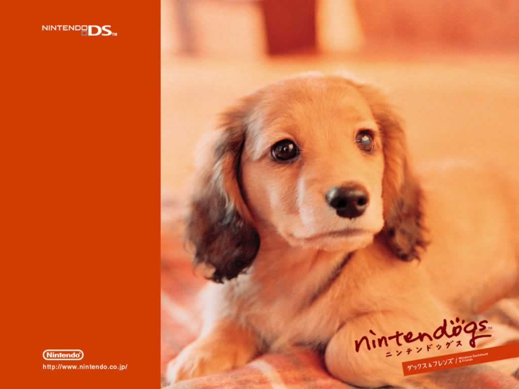 - Lovely Nintendogs -