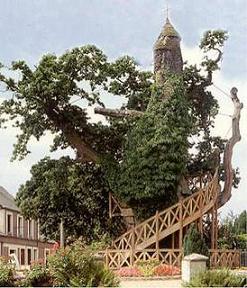 อันดับ 6 - Chapel - Oak of Allouville - Bellefosse เป็นต้นไม้ที่มีชื่อเสียงที่สุดในฝรั่งเศส มันไม่ใช่เพียงแค่ต้นไม้ธรรมดา แต่เป็นสถานที่สำคัญทางศาสนาอีกด้วย 