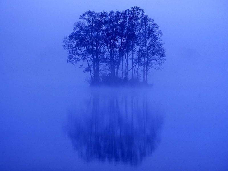 迷霧之林  ป่าที่หลงใหลอยู่ในม่านหมอก