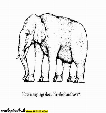 ช้างตัวนี้มีทั้งหมดกี่ขา