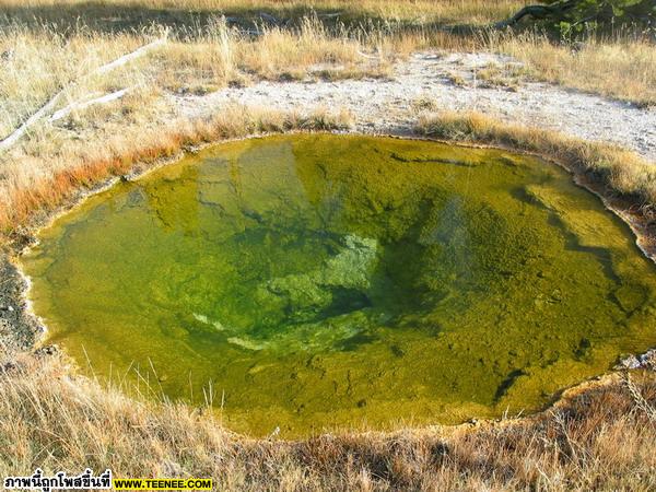 บั้บบาย Yellowstone