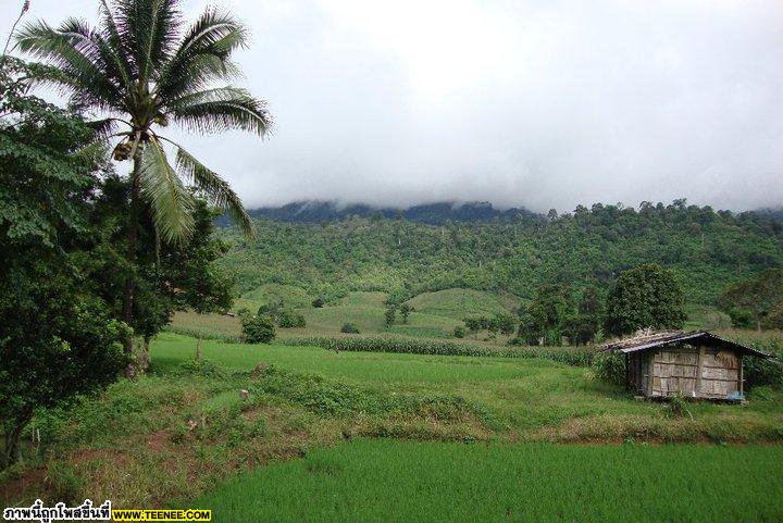 หุบเขา...ธรรมชาติที่สวยงาม