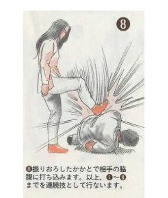 Weird Japanese Self-Defense