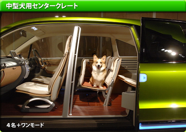 CAR...for Dogs. ~ ~ ~(2)