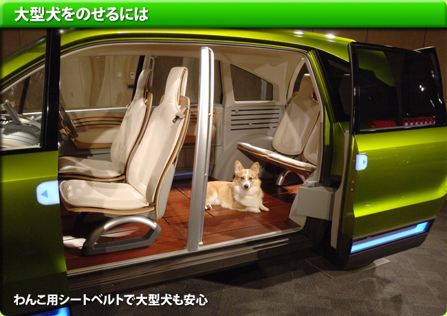 CAR...for Dogs. ~ ~ ~(2)