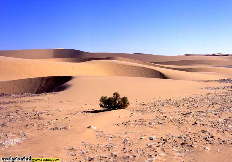 ทะเลทรายที่ใหญ่ที่สุดในโลก...