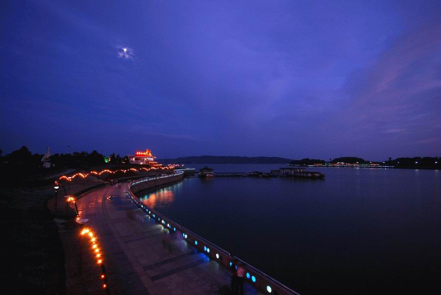 Beautiful Night Scene in Hong Kong